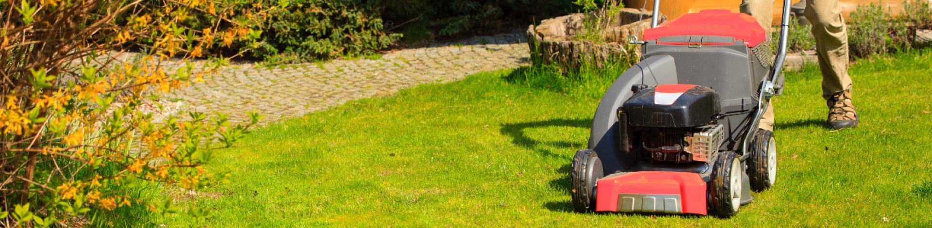 Photo d'une personne tondant la pelouse